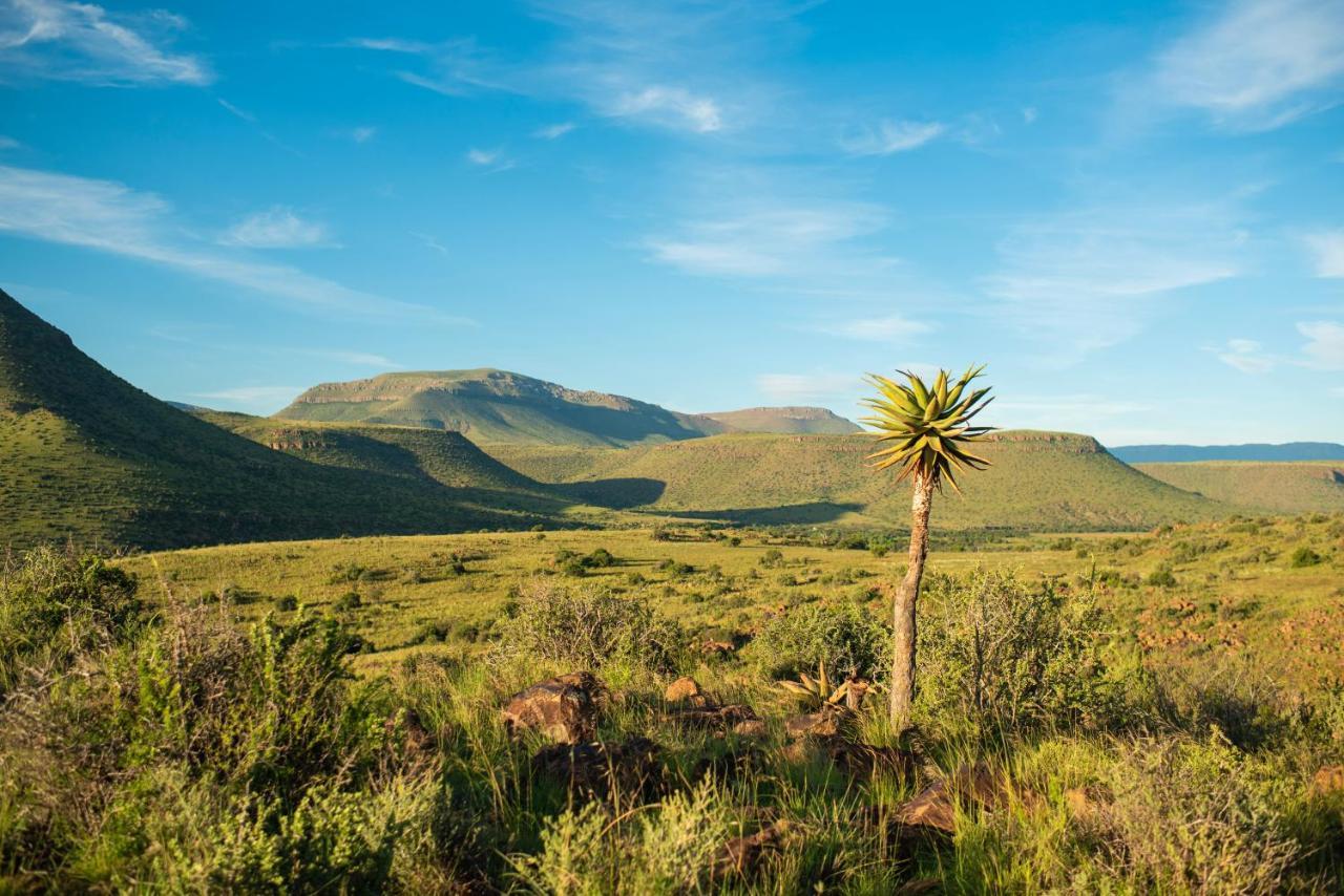 Glen Harry Game Reserve Храфф-Рейнет Экстерьер фото