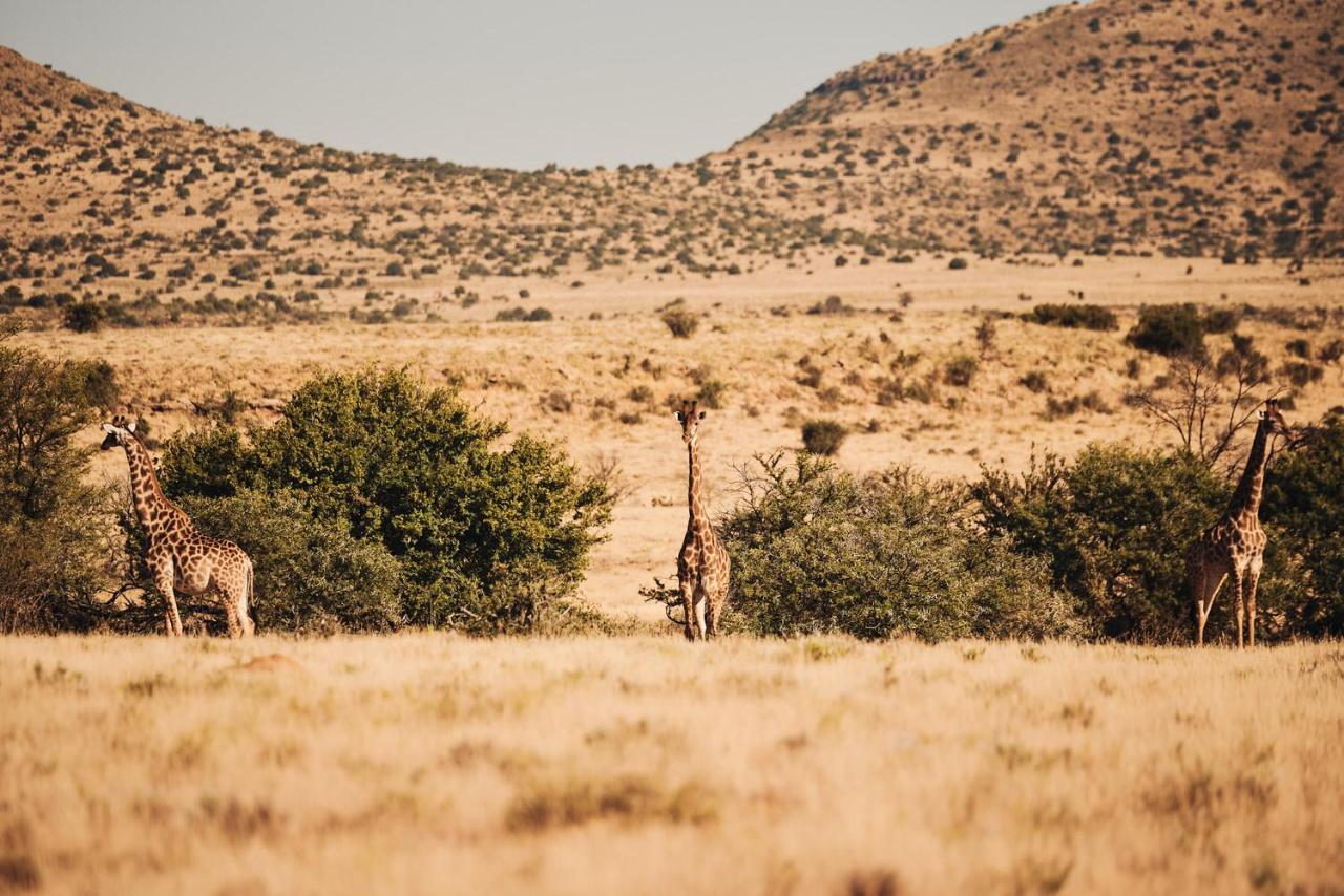 Glen Harry Game Reserve Храфф-Рейнет Экстерьер фото