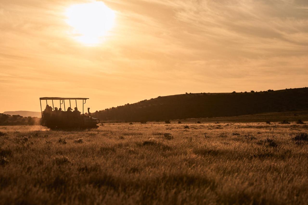 Glen Harry Game Reserve Храфф-Рейнет Экстерьер фото